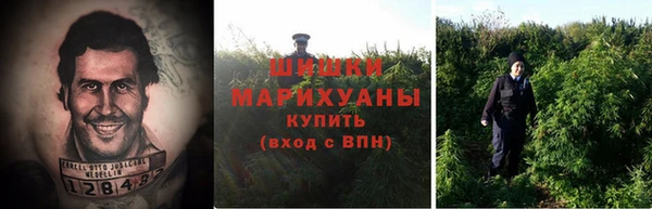 ГАЛЛЮЦИНОГЕННЫЕ ГРИБЫ Армянск