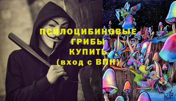 ГАЛЛЮЦИНОГЕННЫЕ ГРИБЫ Армянск